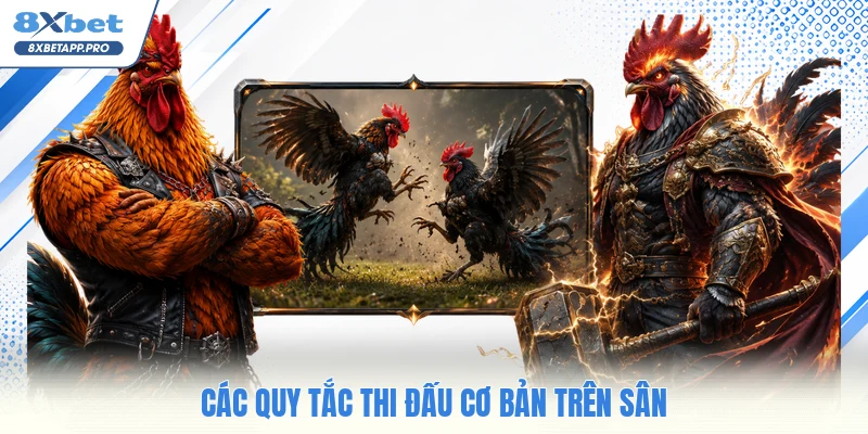 Các quy tắc thi đấu cơ bản trên sân